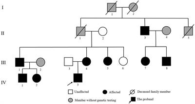 A Novel Frame-Shift Mutation in SCNN1B Identified in a Chinese Family Characterized by Early-Onset Hypertension